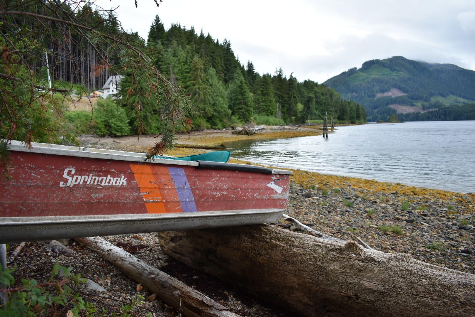 A boat named 'Springbok' on a rocky shore with a forest and mountains in the background.