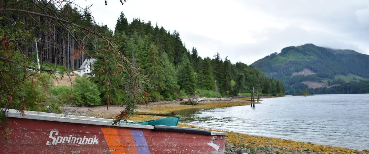 A boat named 'Springbok' on a rocky shore with a forest and mountains in the background.