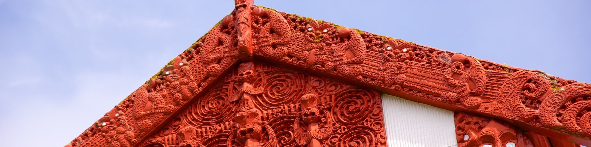 Dunedin que incluye una iglesia o catedral y cultura indígena