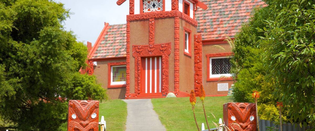 Dunedin som viser en kirke eller en katedral og indfødt kultur