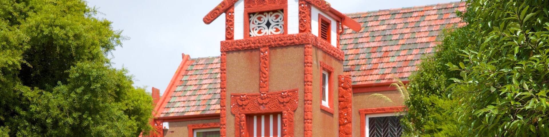 Dunedin showing indigenous culture and a church or cathedral