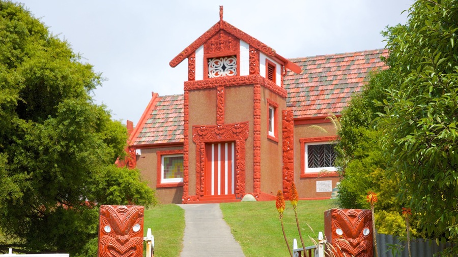 Dunedin mostrando chiesa o cattedrale e cultura indigena