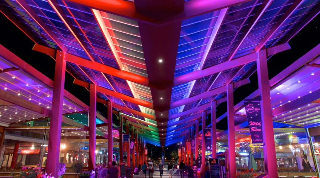 Rotorua showing night scenes and markets