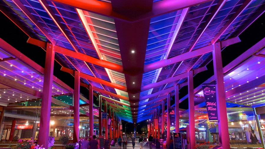 Rotorua showing night scenes and markets