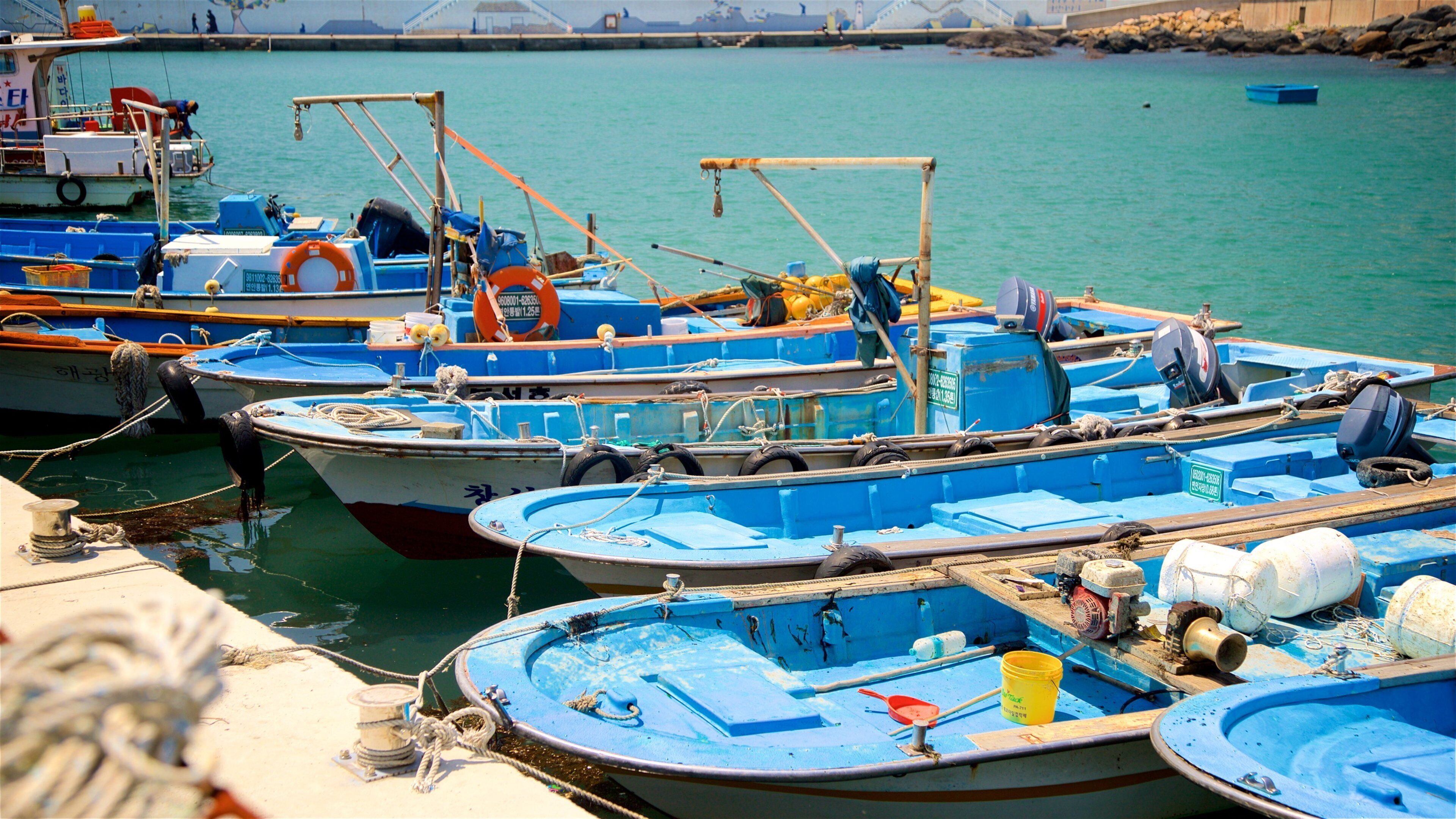 Busan which includes a bay or harbour