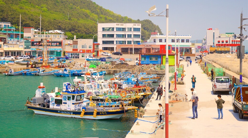 釜山 表示 湾岸あるいはハーバー 及び 少数の人々