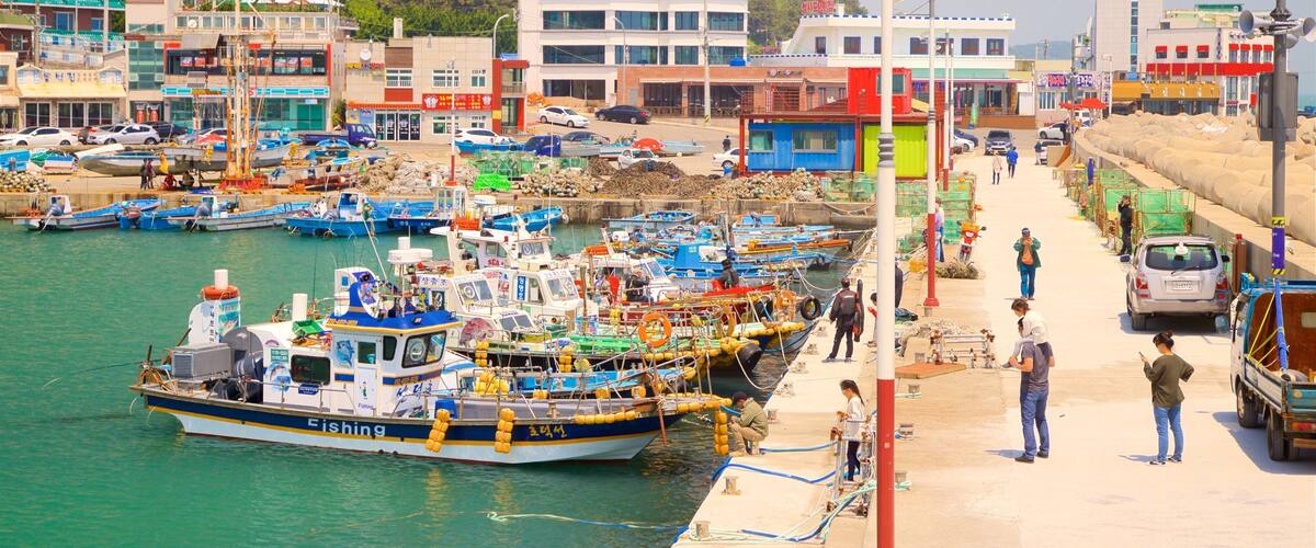 A busy harbor with numerous boats docked, a pier, and buildings in the background.
