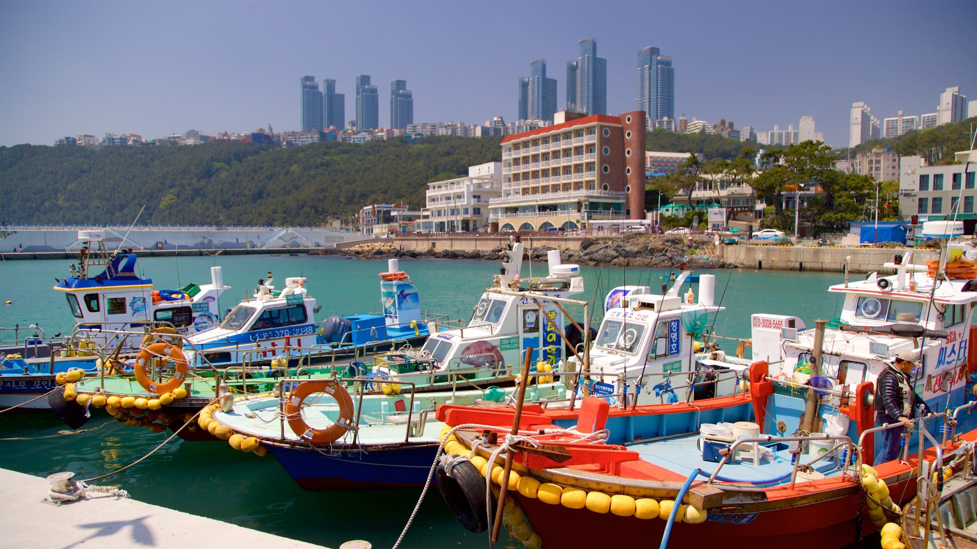 釜山 表示 湾岸あるいはハーバー と 都市