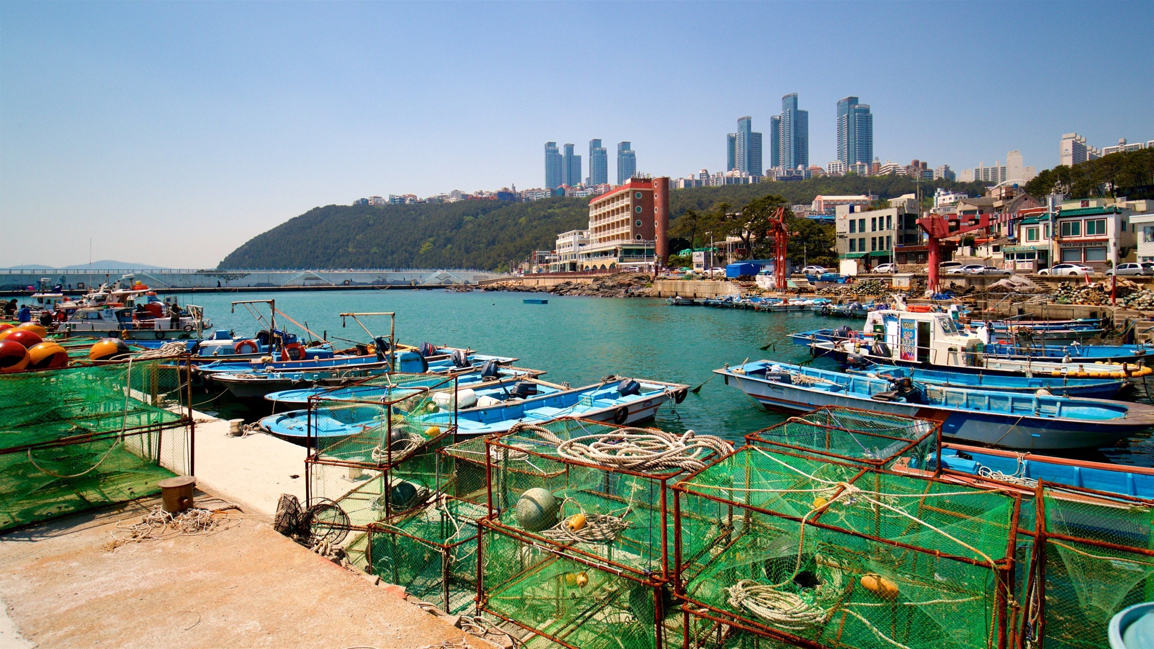 Busan which includes a city and a bay or harbour
