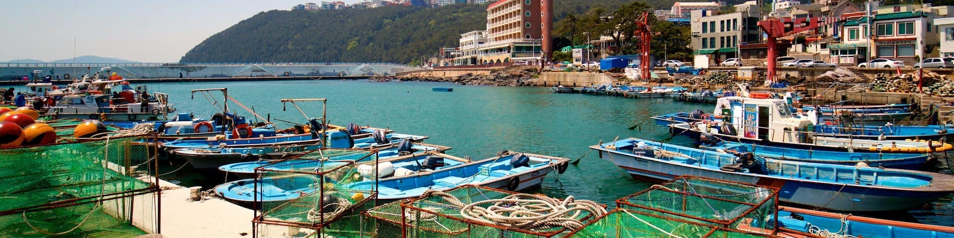 Busan featuring a city and a bay or harbor