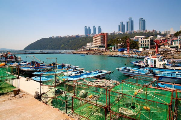 Pusan mettant en vedette ville et baie ou port