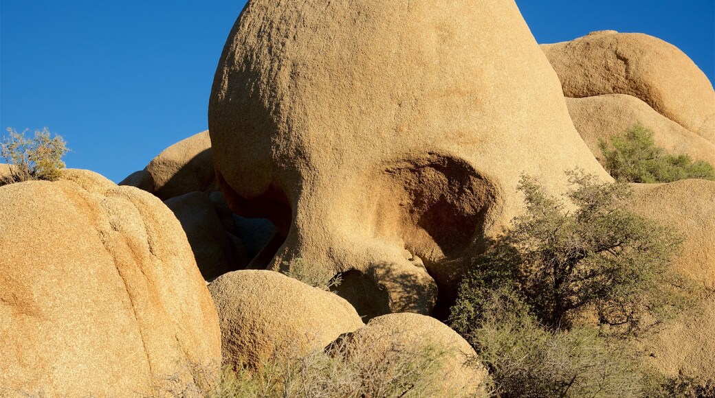 Skull Rock which includes a gorge or canyon