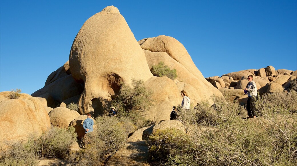 Riverside County showing desert views as well as a small group of people