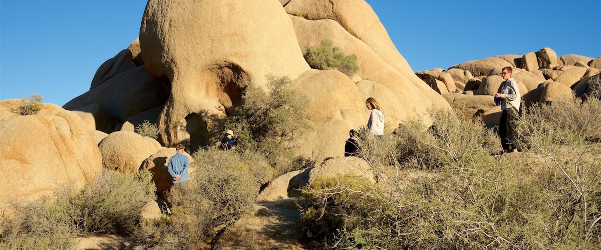 リバーサイド カウンティ