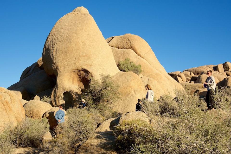 A desert landscape with large rock formations and sparse vegetation.