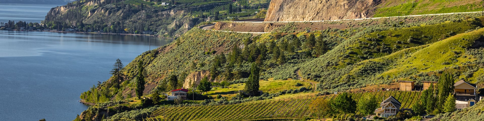 Summer Winery view of Kelowna vineyards surrounding Lake Okanagan with mountains. Sunrise in Kelowna