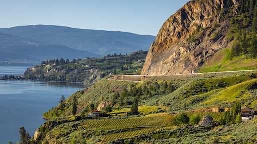 Summer Winery view of Kelowna vineyards surrounding Lake Okanagan with mountains. Sunrise in Kelowna