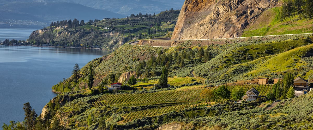 A coastal landscape with vineyards, a lake, and a mountain in the background.