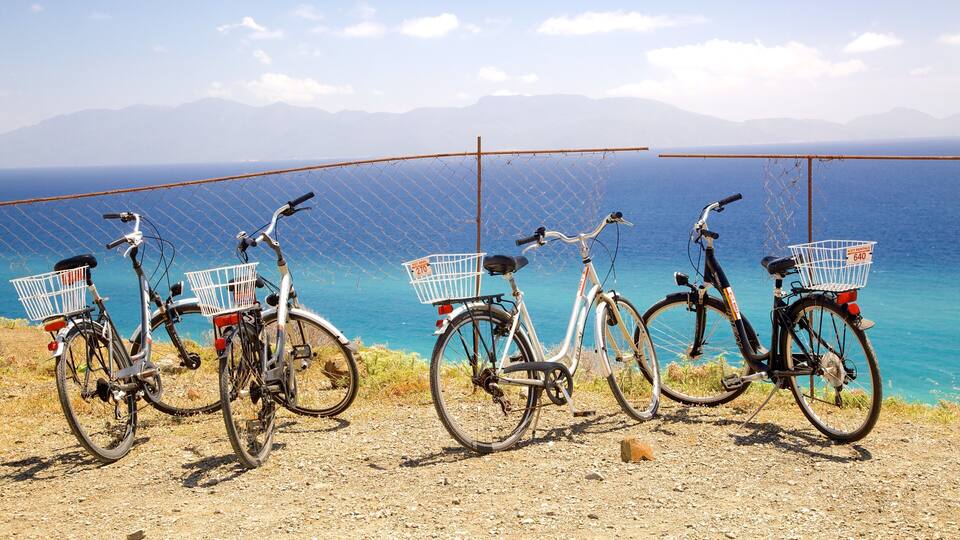 A row of bicycles parked by a chain-link fence overlooking a coastal area with mountains in the background.