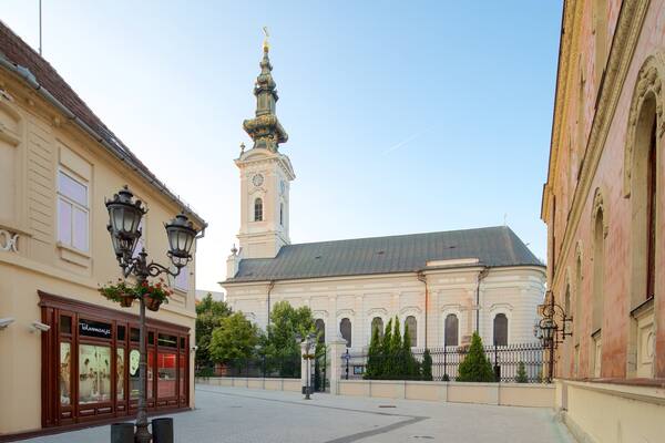 Novi Sad which includes a church or cathedral and heritage architecture