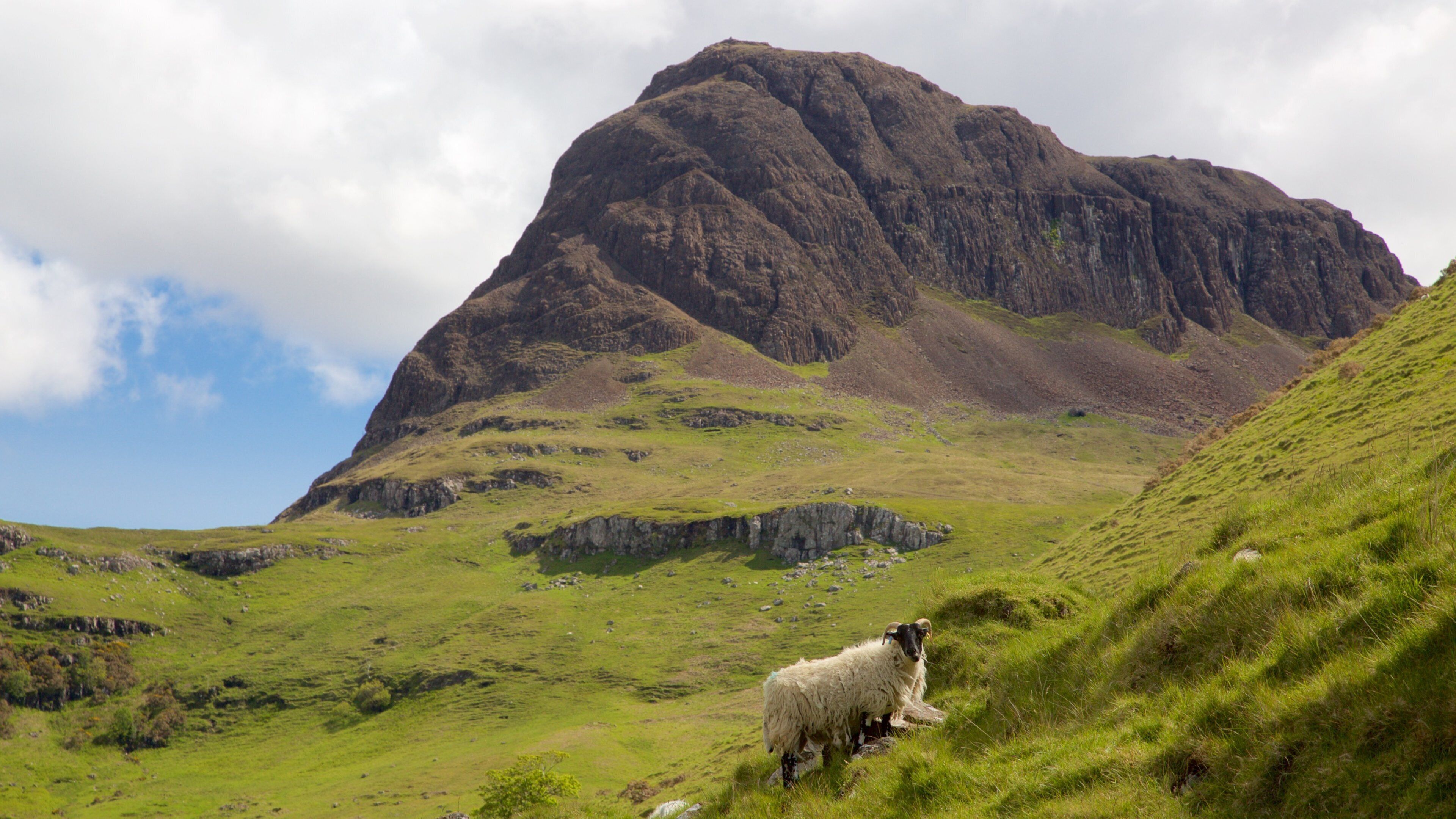 Skye toont landdieren, vredige uitzichten en bergen