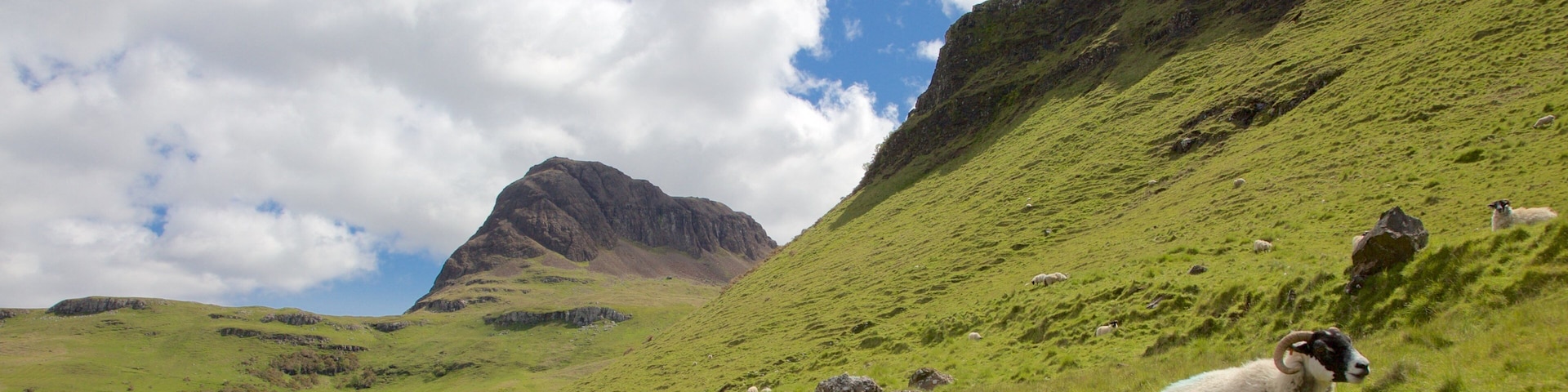 Ilha de Skye que inclui montanhas, animais terrestres e cenas tranquilas