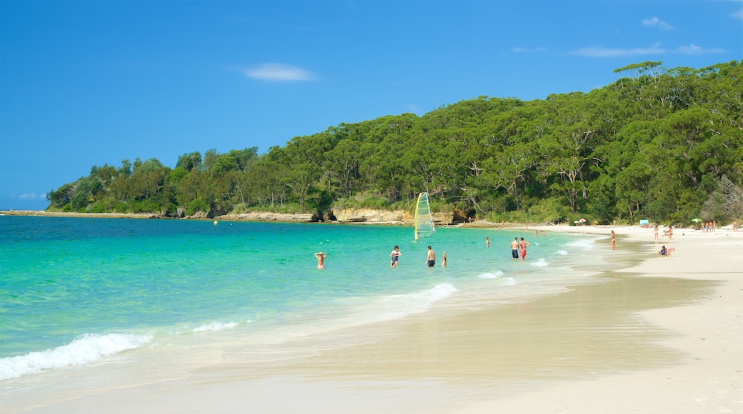 Murrays Beach showing general coastal views, tropical scenes and a sandy beach