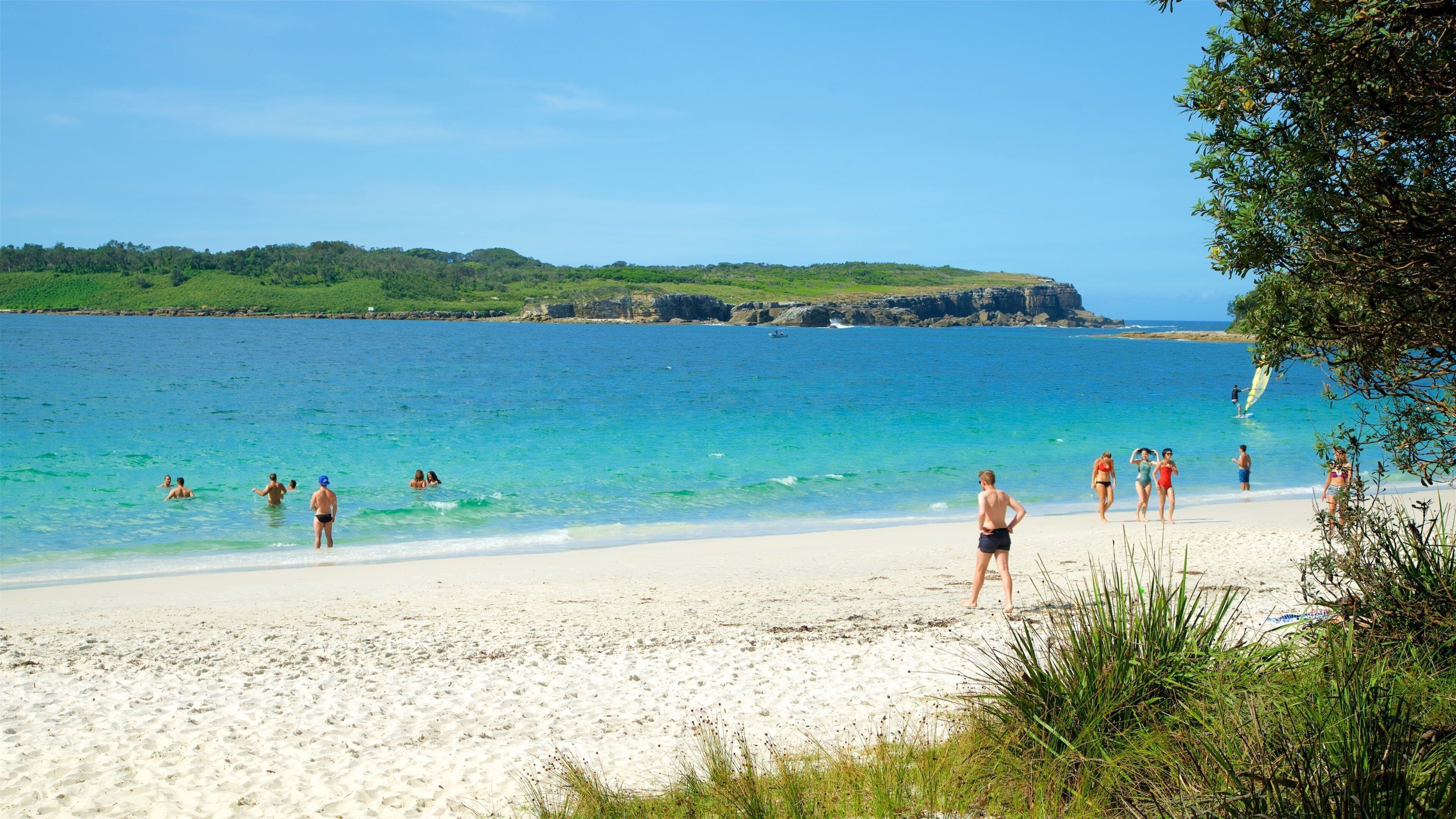 Sanctuary Point featuring swimming and a beach as well as a large group of people