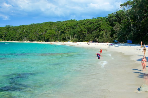 Sanctuary Point which includes a beach as well as a small group of people