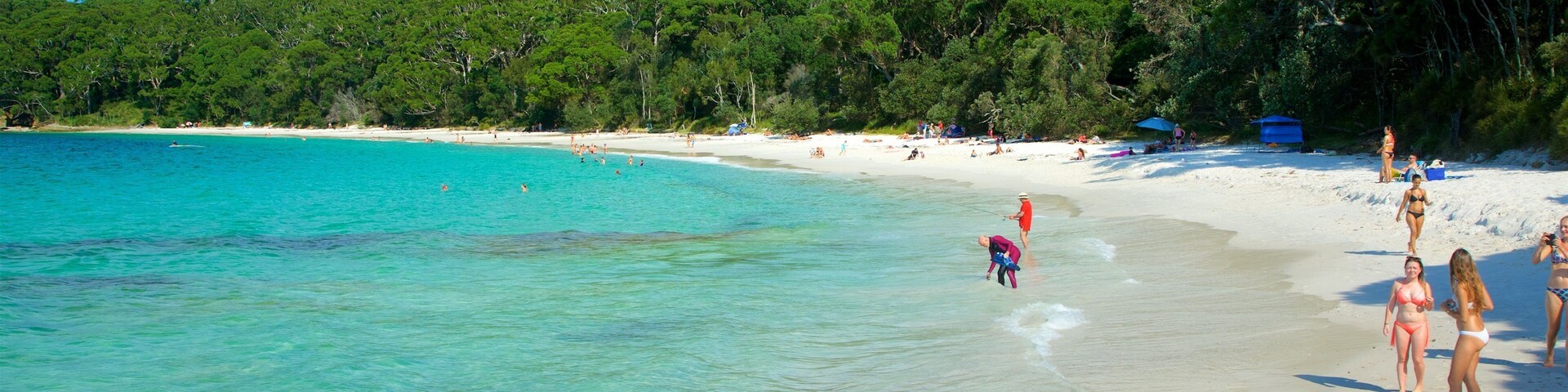Sanctuary Point which includes a sandy beach as well as a small group of people