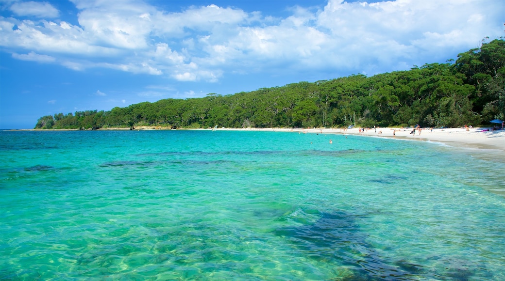 Sanctuary Point which includes general coastal views and a sandy beach