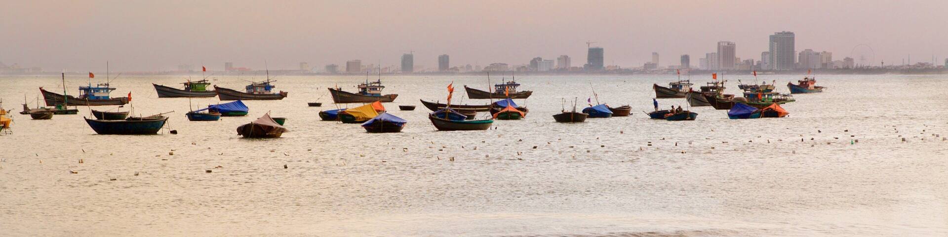 Da Nang mostrando vistas generales de la costa y una playa de arena