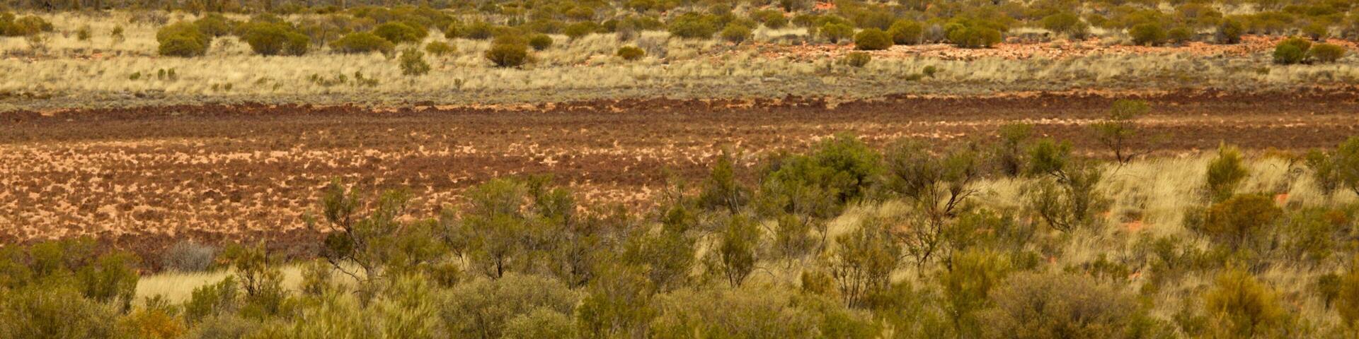 Red Centre showing desert views and tranquil scenes