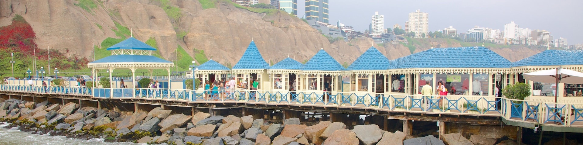Lima featuring general coastal views and rocky coastline