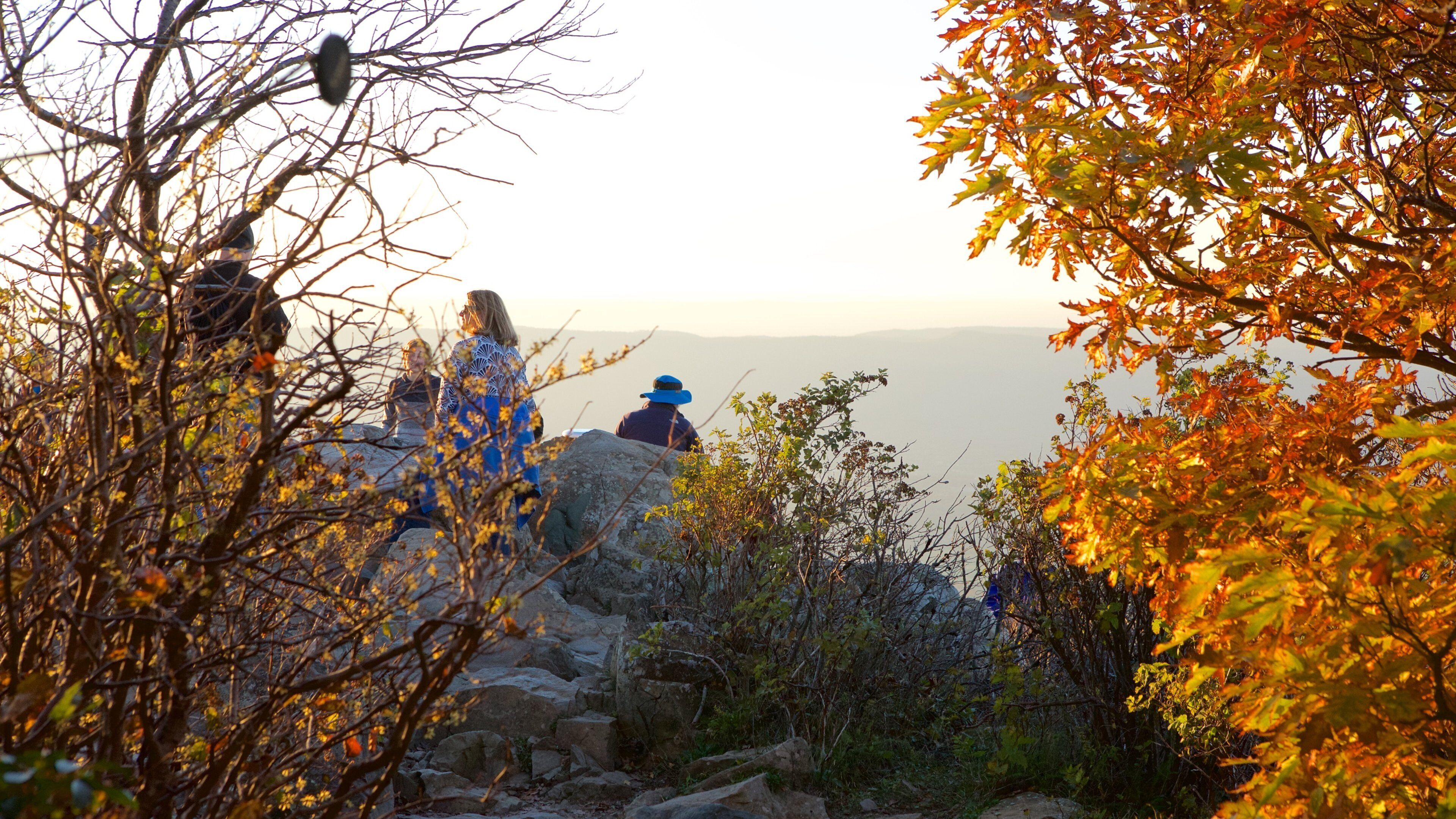 Stony Man featuring tranquil scenes, a sunset and views