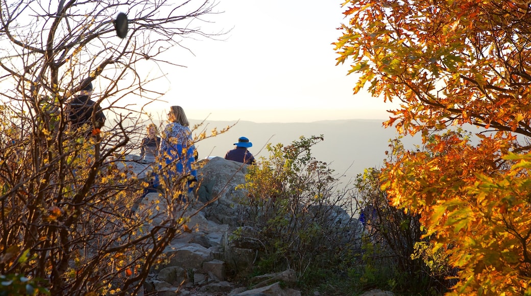 Stony Man featuring tranquil scenes, a sunset and views