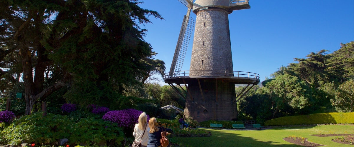 Golden Gate Park mostrando um parque assim como um casal
