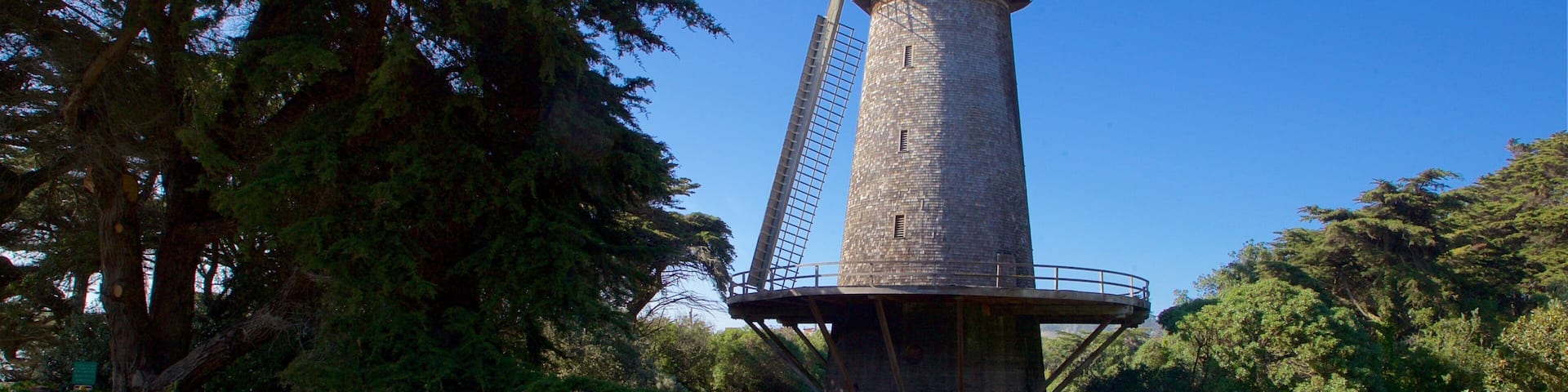 Golden Gate Park showing a park as well as a couple