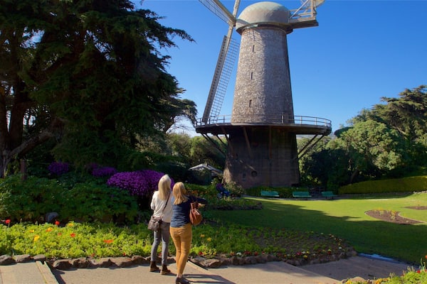 Golden Gate Park showing a park as well as a couple