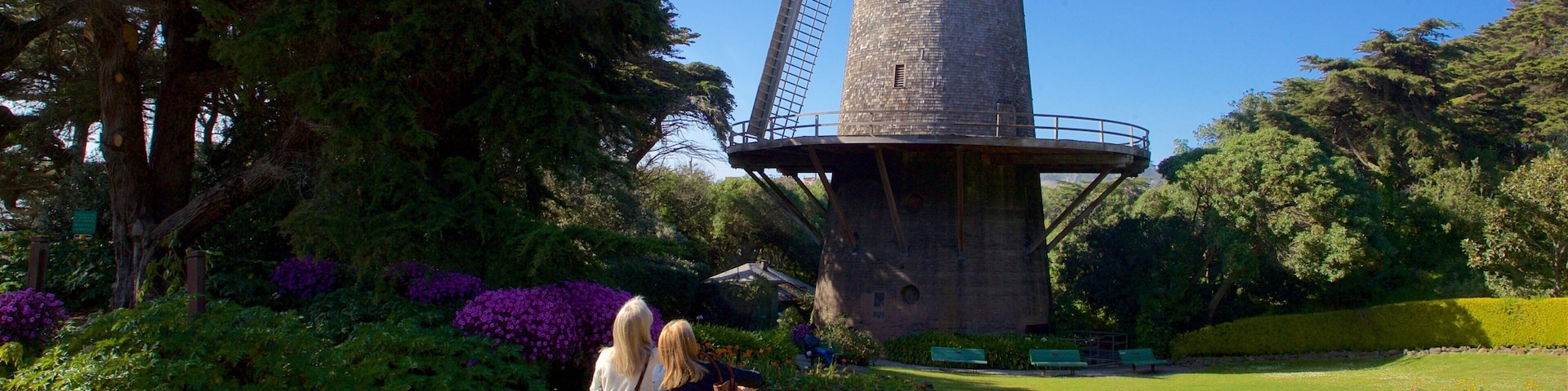 Golden Gate Park mostrando um parque assim como um casal