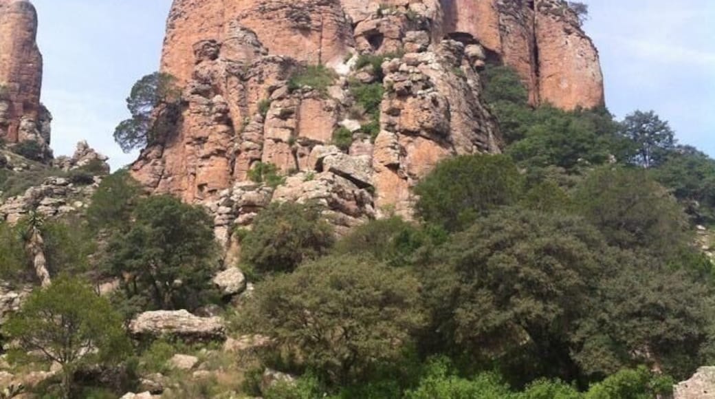 A beautyfull national park in Mexico, you can camping in the national park