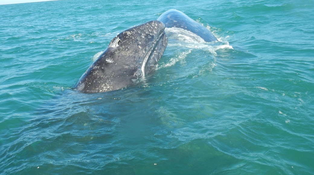 Mom and baby leave after staying and playing with us a solid 15 minutes!