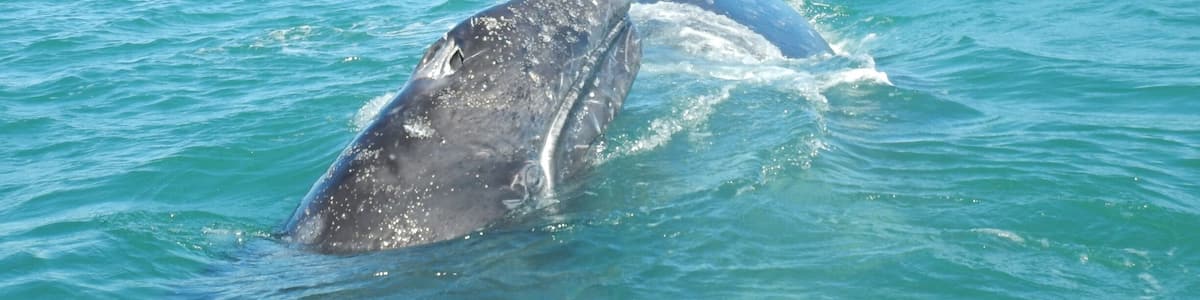 Mom and baby leave after staying and playing with us a solid 15 minutes!