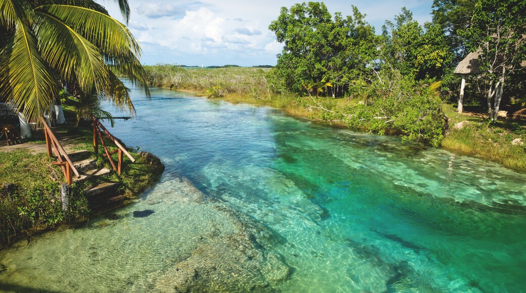 Seven colored lagoon surrounded by tropical plants in Bacalar, Quintana Roo, Mexico