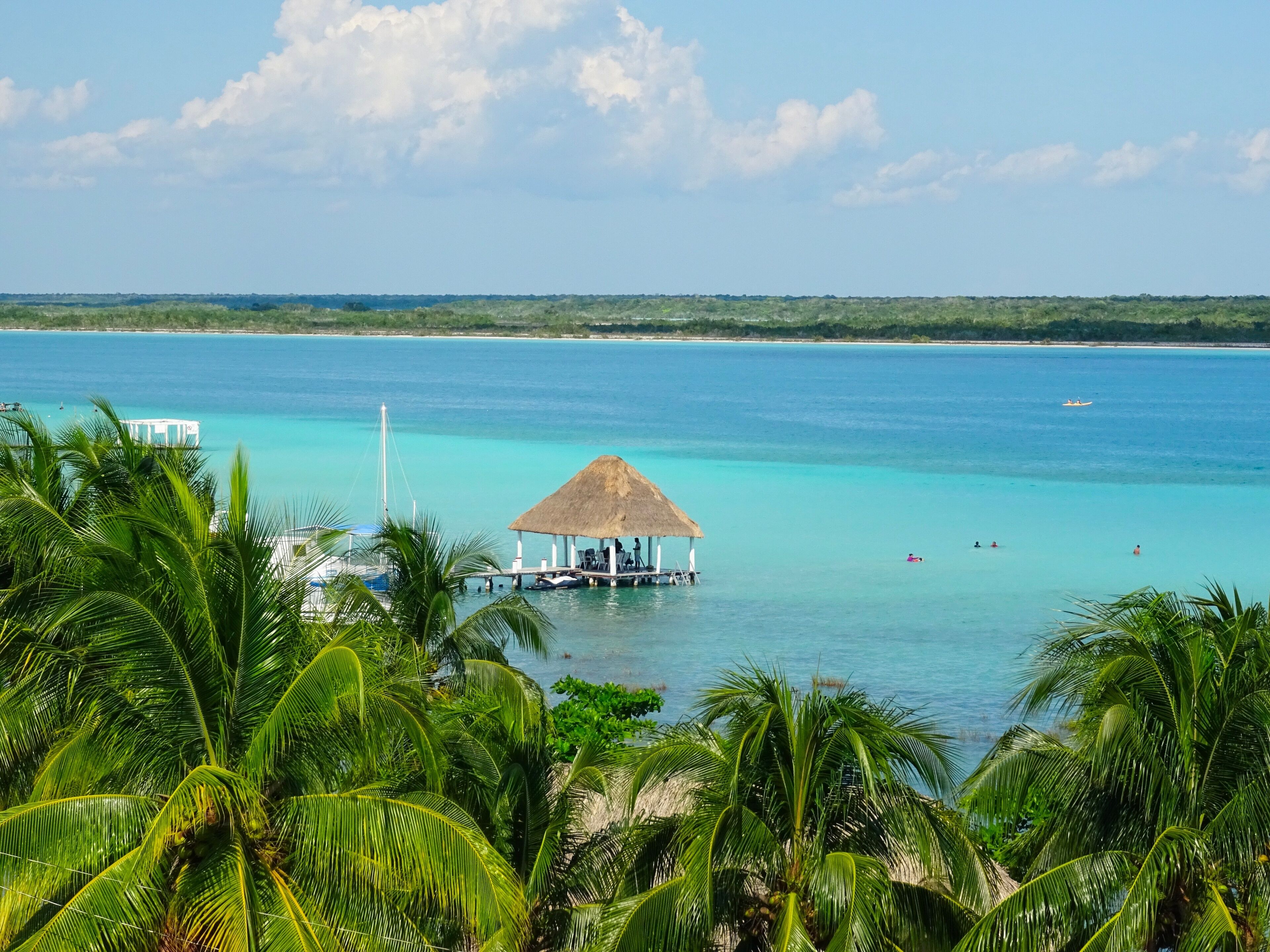 Bacalar