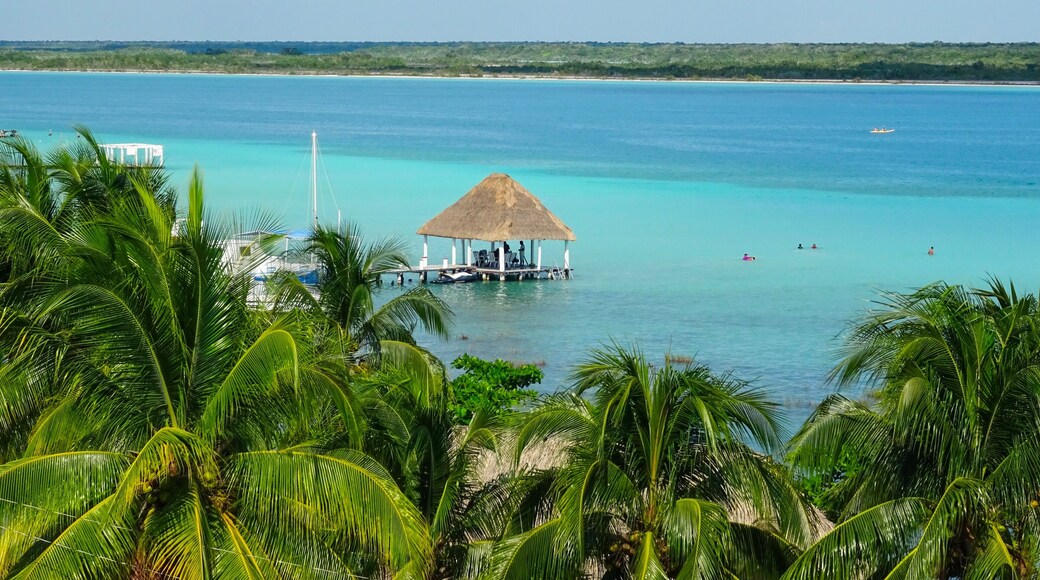 Bacalar