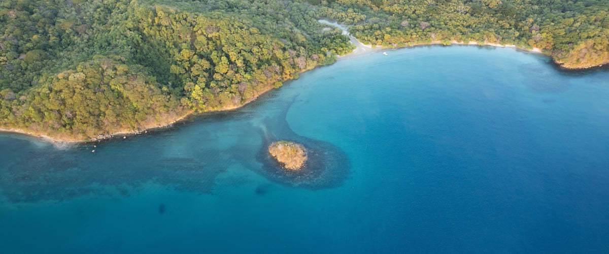 An aerial view of a coastal area with a sandy beach, dense green forest, and a clear blue sea.