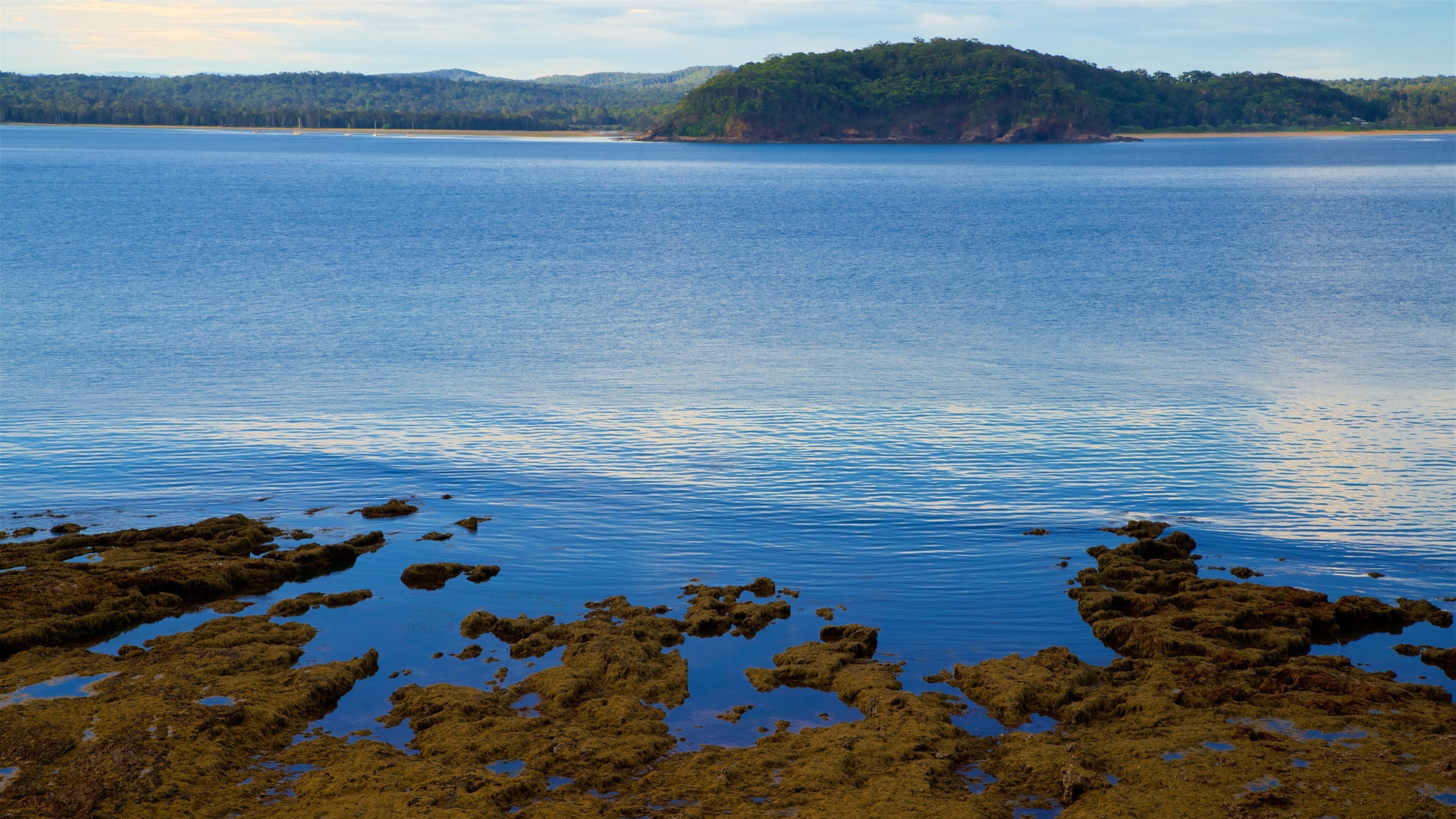 Batemans Bay que inclui imagens da ilha e litoral rochoso