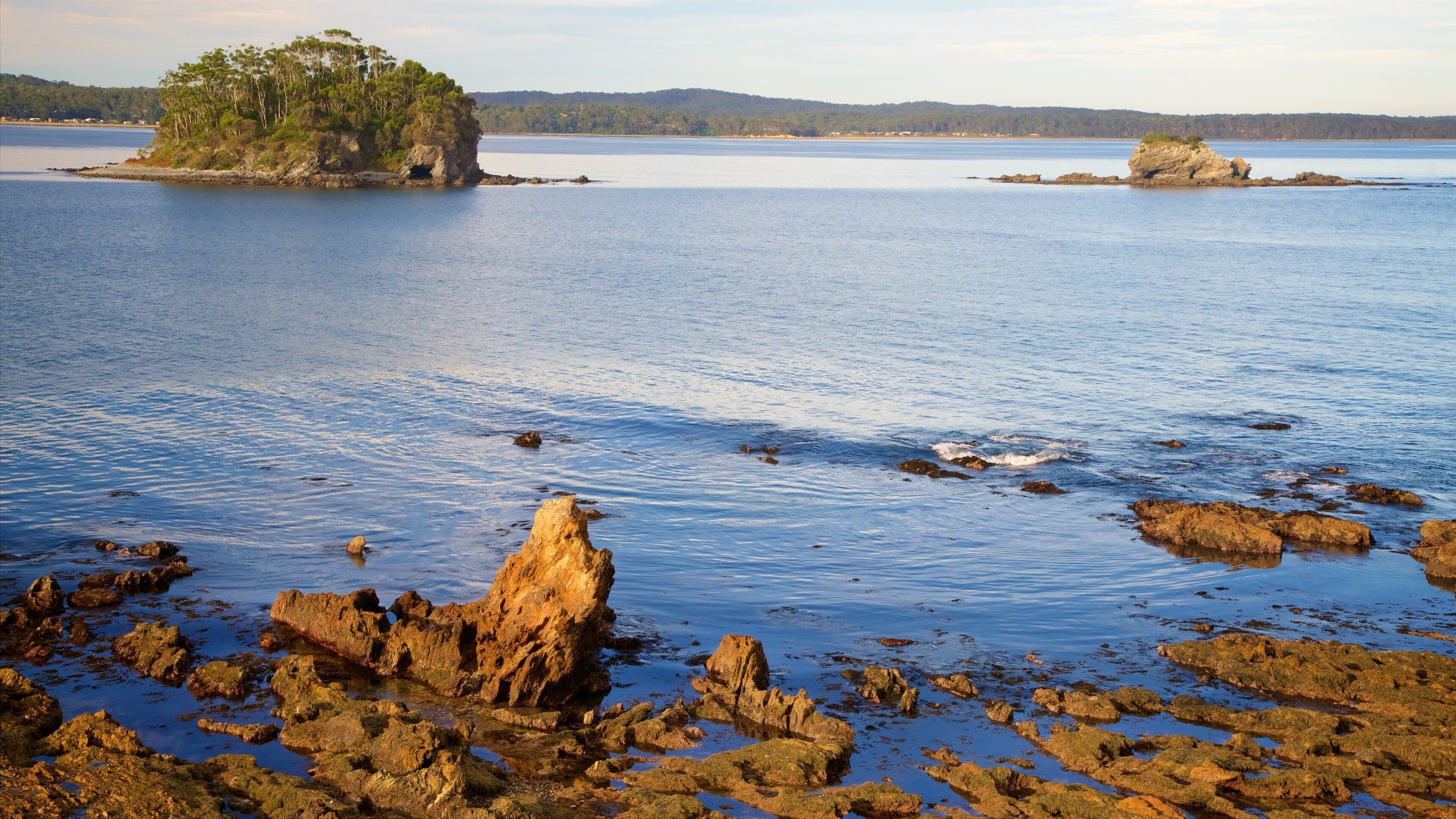 Batemans Bay showing rocky coastline