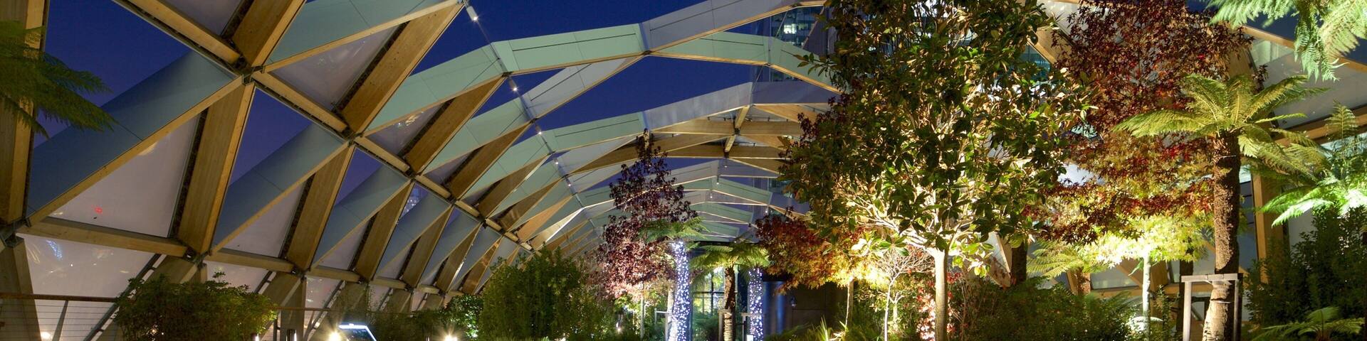 Crossrail Place Roof Garden featuring night scenes and a garden